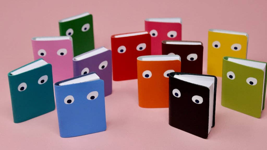 Googly Eye Mini Journal