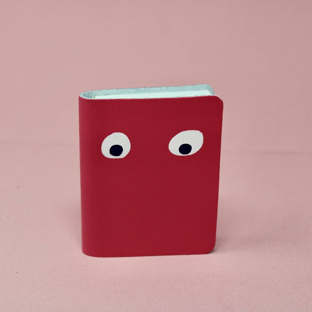 Googly Eye Mini Journal
