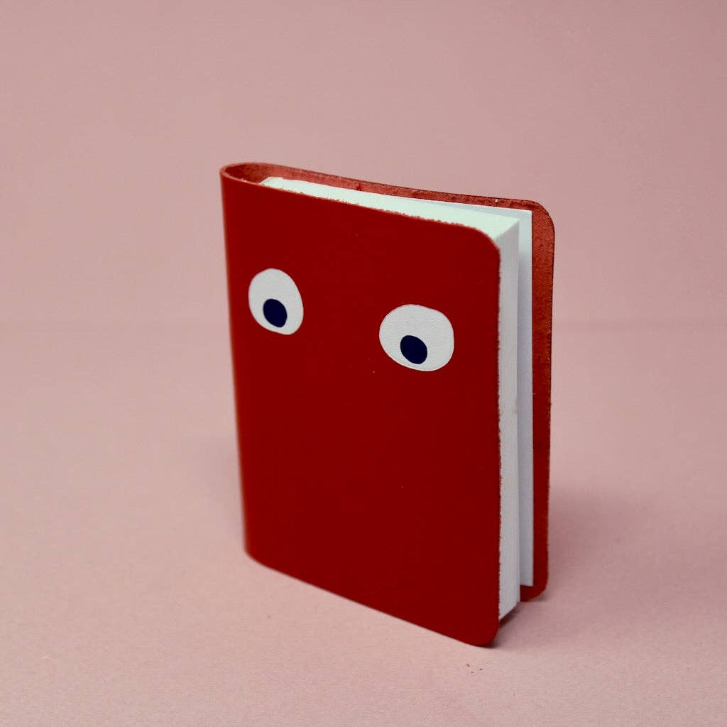 Googly Eye Mini Journal