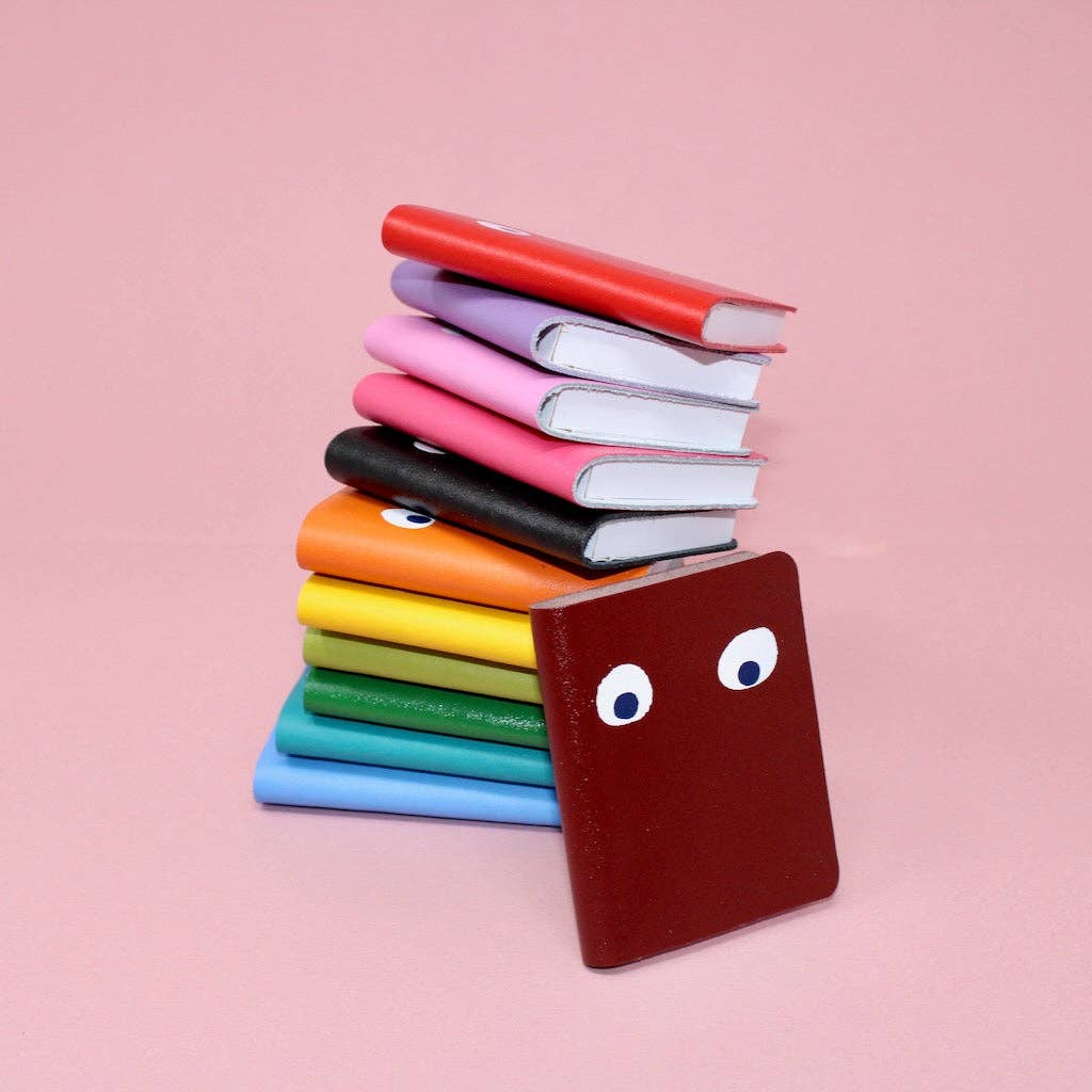 Googly Eye Mini Journal