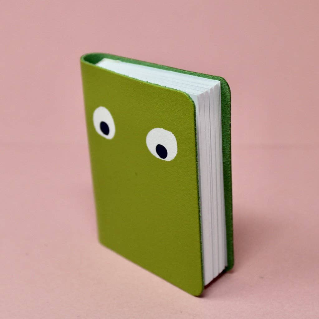 Googly Eye Mini Journal