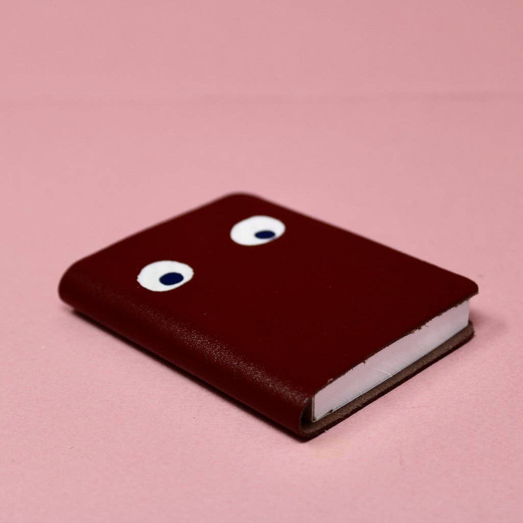 Googly Eye Mini Journal