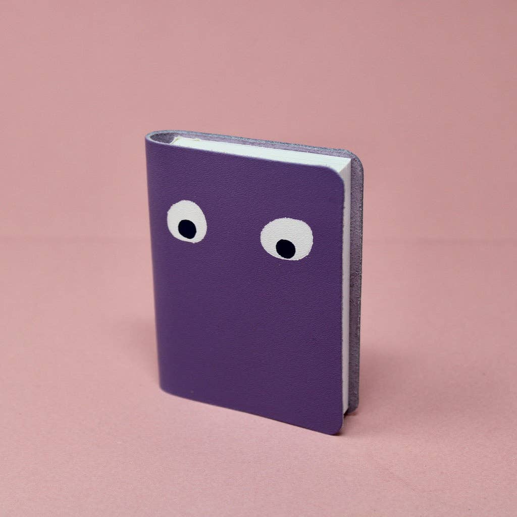 Googly Eye Mini Journal