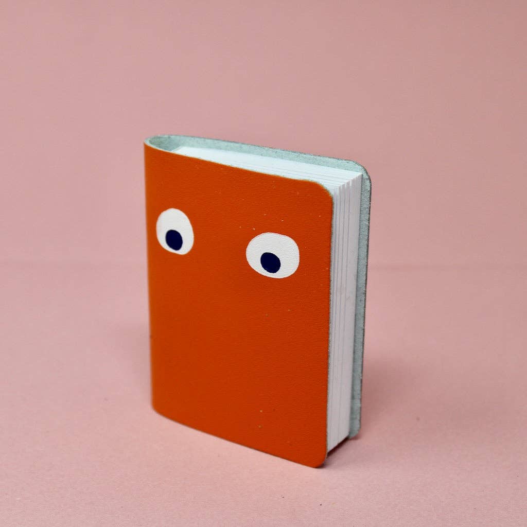 Googly Eye Mini Journal